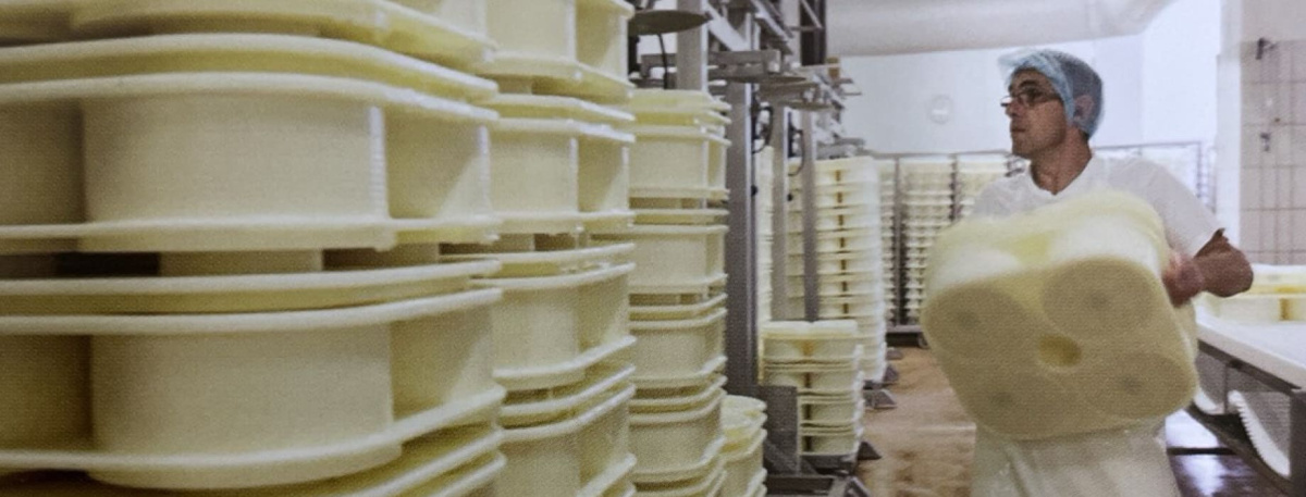 Développement de la fromagerie 